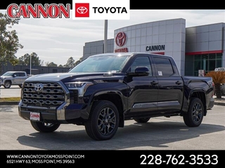 2025 Toyota Tundra for sale in Moss Point MS