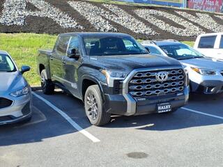 2025 Toyota Tundra for sale in Roanoke VA