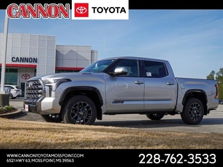 2025 Toyota Tundra for sale in Moss Point MS