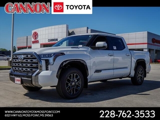 2025 Toyota Tundra for sale in Moss Point MS