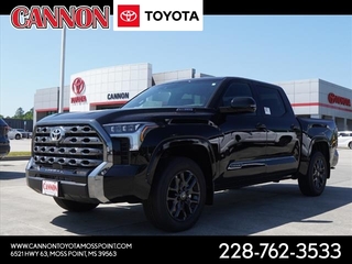 2025 Toyota Tundra for sale in Moss Point MS