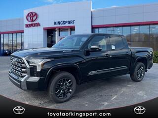 2025 Toyota Tundra for sale in Kingsport TN