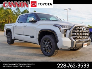 2024 Toyota Tundra for sale in Moss Point MS