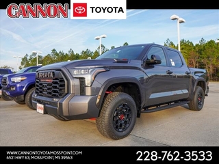 2024 Toyota Tundra for sale in Moss Point MS