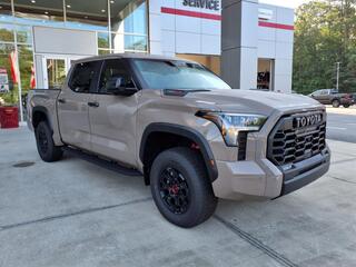 2025 Toyota Tundra for sale in New Bern NC