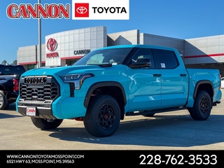 2026 Toyota Tundra for sale in Moss Point MS