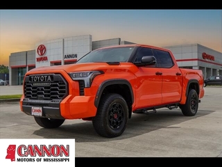 2022 Toyota Tundra for sale in Moss Point MS