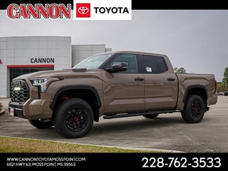 2025 Toyota Tundra for sale in Moss Point MS