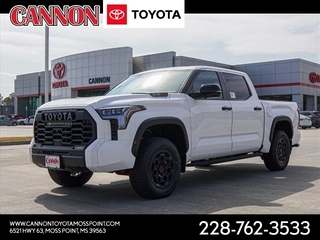 2025 Toyota Tundra for sale in Moss Point MS