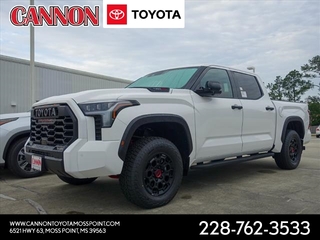 2023 Toyota Tundra for sale in Moss Point MS