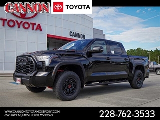 2025 Toyota Tundra for sale in Moss Point MS