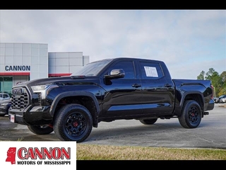 2022 Toyota Tundra for sale in Moss Point MS