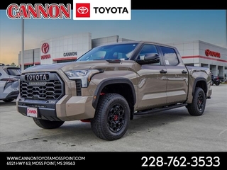 2025 Toyota Tundra
