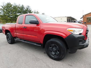 2019 Toyota Tacoma for sale in Clarksville TN