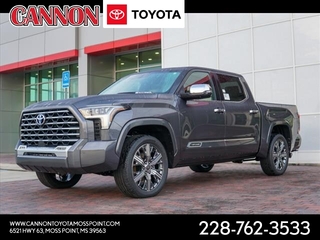 2023 Toyota Tundra for sale in Moss Point MS