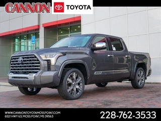 2023 Toyota Tundra