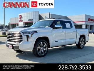 2023 Toyota Tundra for sale in Moss Point MS
