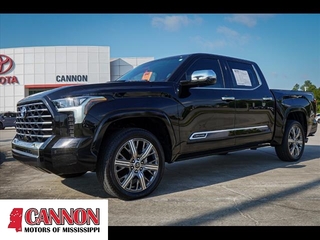 2023 Toyota Tundra for sale in Moss Point MS