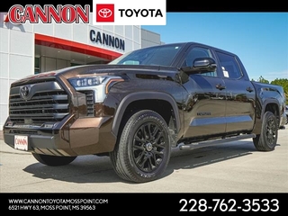 2024 Toyota Tundra for sale in Moss Point MS