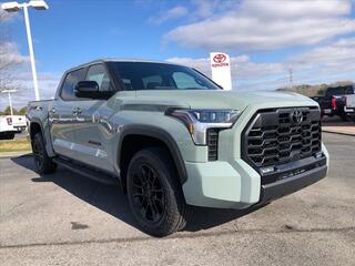 2025 Toyota Tundra for sale in Mcdonald TN