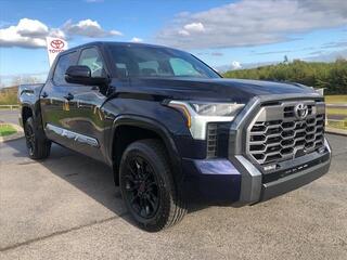 2025 Toyota Tundra for sale in Mcdonald TN