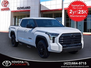 2025 Toyota Tundra for sale in Mcdonald TN