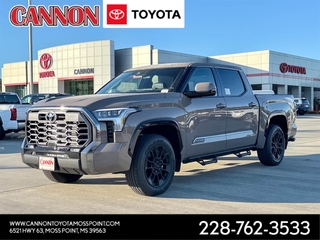 2026 Toyota Tundra for sale in Moss Point MS