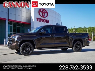 2024 Toyota Tundra for sale in Moss Point MS