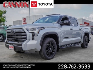 2025 Toyota Tundra for sale in Moss Point MS