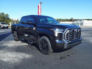 2025 Toyota Tundra for sale in New Bern NC