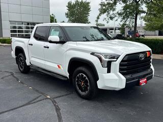 2025 Toyota Tundra for sale in Janesville WI