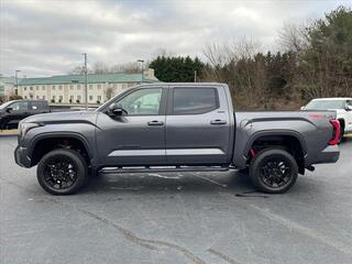 2025 Toyota Tundra for sale in Morristown TN