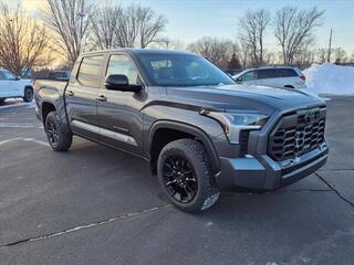 2025 Toyota Tundra for sale in Janesville WI