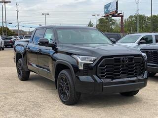 2024 Toyota Tundra for sale in Chattanooga TN