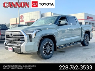 2025 Toyota Tundra for sale in Moss Point MS
