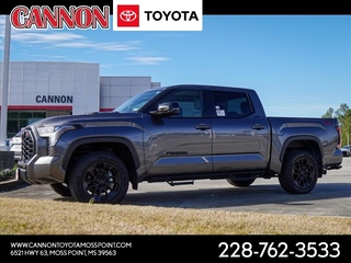 2024 Toyota Tundra for sale in Moss Point MS