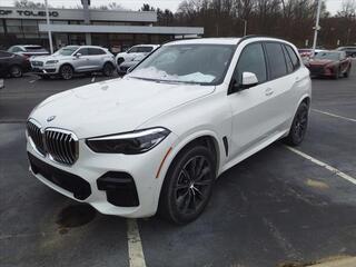 2023 BMW X5