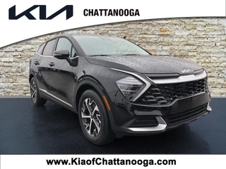 2025 Kia Sportage for sale in Chattanooga TN