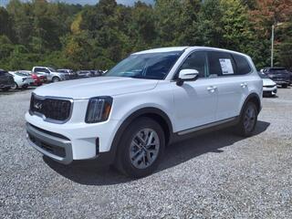 2023 Kia Telluride for sale in Knoxville TN