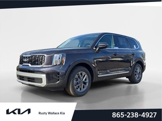 2025 Kia Telluride for sale in Louisville TN