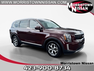 2022 Kia Telluride for sale in Morristown TN