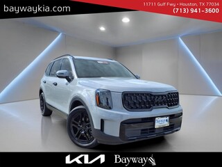 2025 Kia Telluride for sale in Houston TX