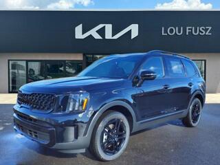 2025 Kia Telluride for sale in Terre Haute IN