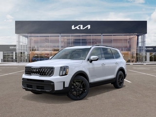 2025 Kia Telluride for sale in Joliet IL