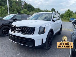 2024 Kia Telluride for sale in Mount Hope WV