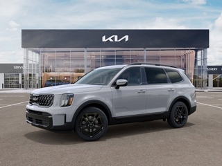 2024 Kia Telluride for sale in Joliet IL