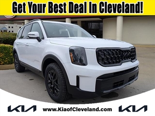 2025 Kia Telluride for sale in Cleveland TN