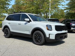 2025 Kia Telluride for sale in Asheville NC