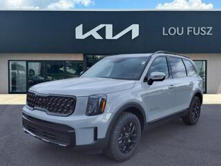 2025 Kia Telluride for sale in Terre Haute IN