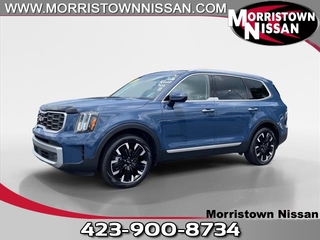 2023 Kia Telluride for sale in Morristown TN